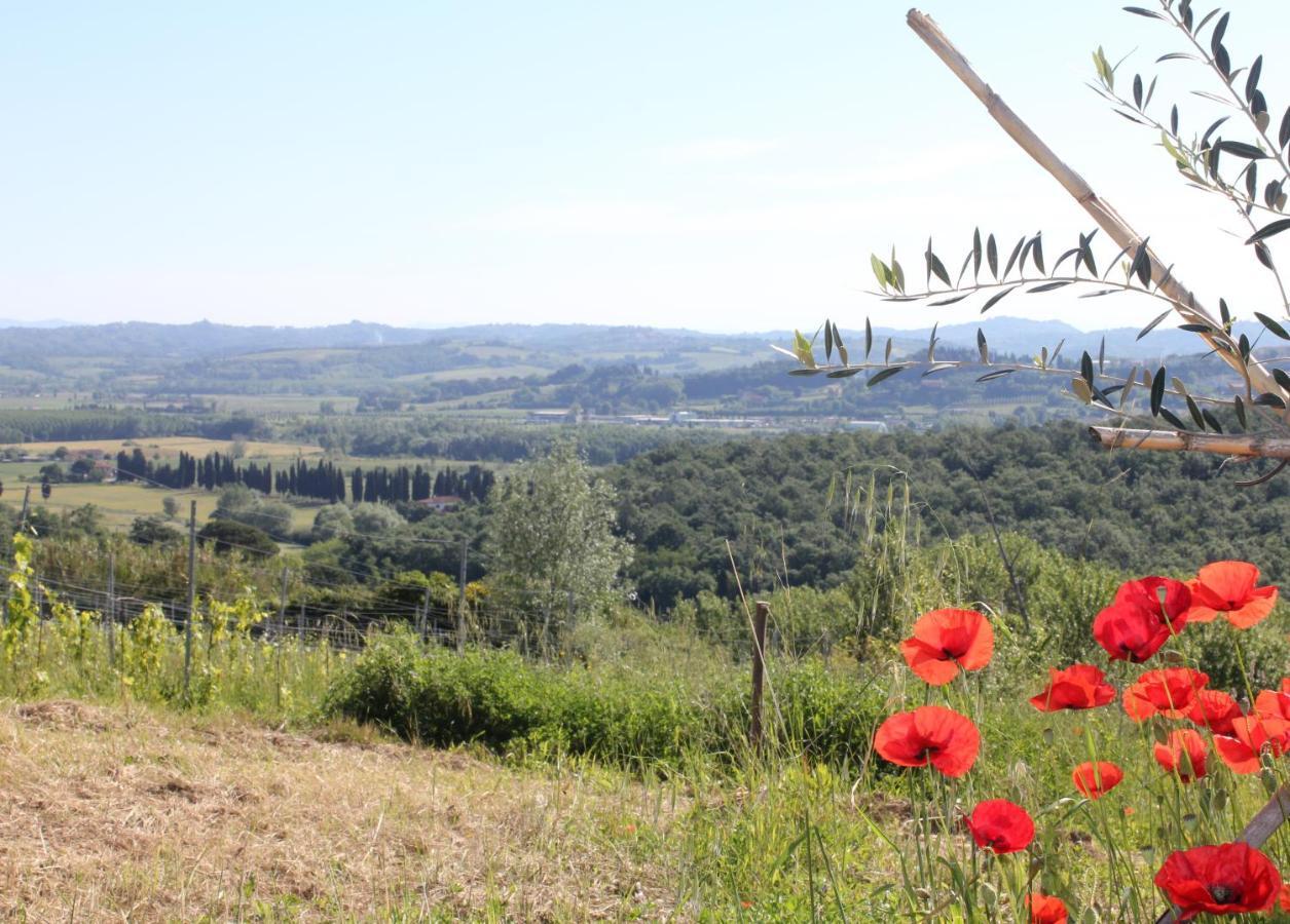 Ferienwohnung Tuscany Life Terricciola Exterior foto